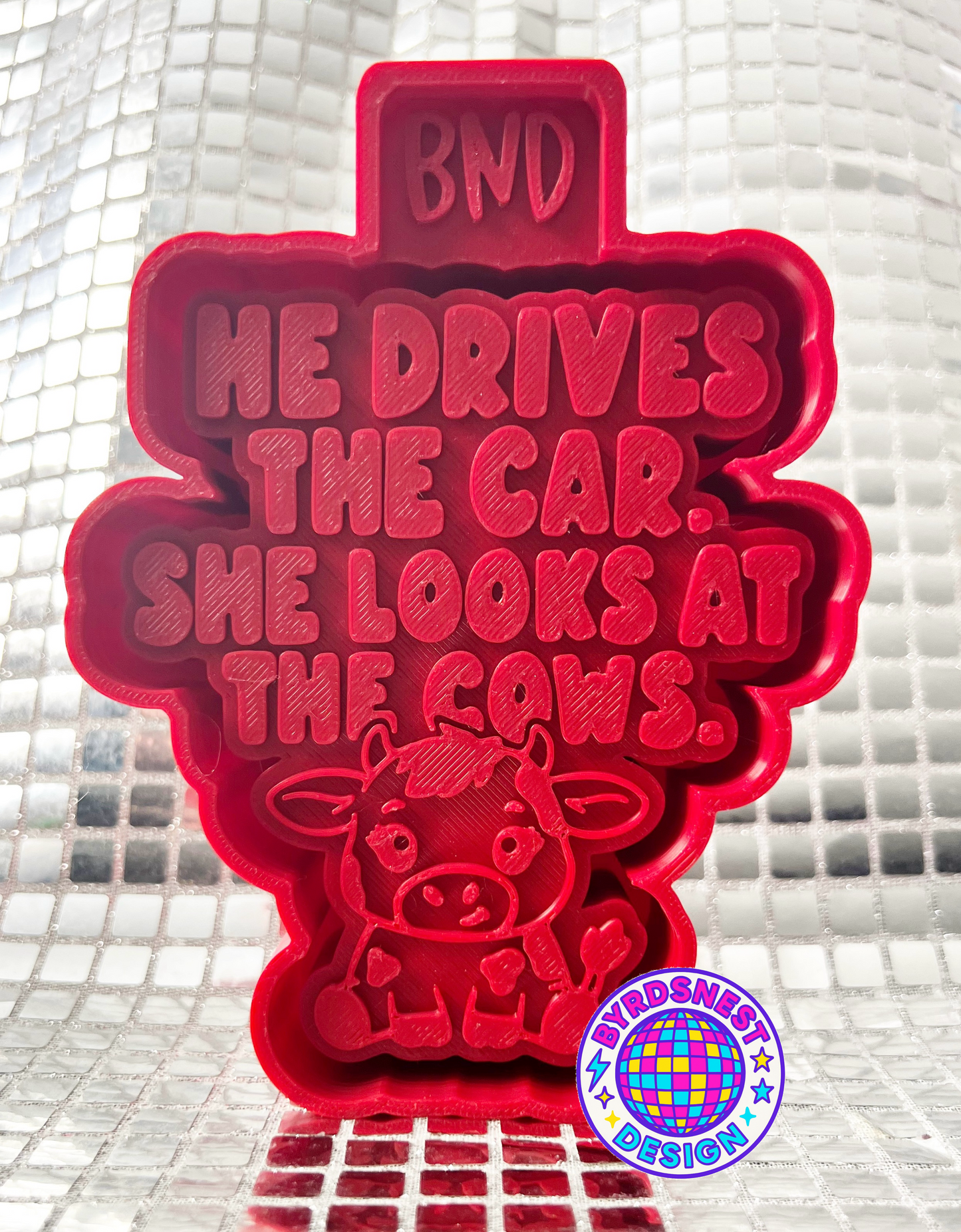 He Drives the Cat