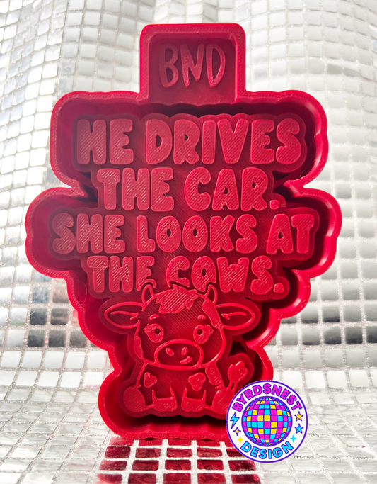 He Drives the Cat