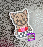BNDX Valentine Yorkie