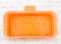 Texas License Plate