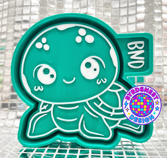 Little Turtle Boy