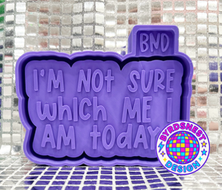 Which Me I am Today Housing